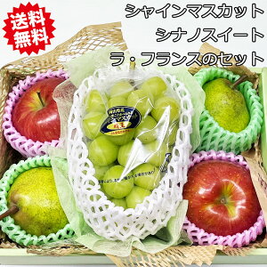   Ԃǂ Zbg  Hc XY VimXC[g  R` 쌧Y tX  R R 쌧Y VC}XJbg  Zbg mȂ l t[c 蕨 Mtg