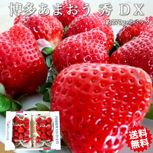 ܂  C`S   Y ܂ DX 2pbN t[c ʕ C`S   DX fbNX Mtg B̃uhC`S 1{蔭