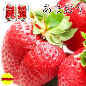 ���܂��� ���� ������ �C�`�S � �������� �������Y ���� ���܂��� �G�i DX 2�p�b�N���� ��540g 270g×2�p�b�N �t���[�c �ʕ� �C�`�S ������ � DX �f���b�N�X �M�t�g ��B�̃u�����h�C�`�S