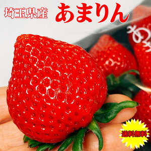 ���܂�� ������ �C�`�S � �������� ��ʌ��Y ���܂�� DX 2�p�b�N���� �t���[�c �ʕ� �C�`�S ������ � �M�t�g ��ʂ̃u�����h�C�`�S �f���b�N�X