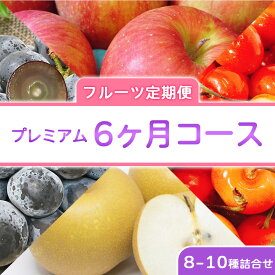 フルーツ詰合せ プレミアム 6回コース 毎月ワクワク 旬のフルーツ定期便 頒布会 プレミアム 6回コース 8-10アイテム 季節の果物 詰合せ