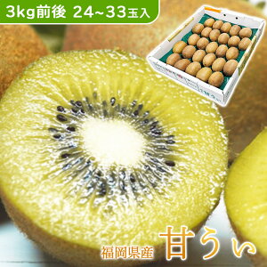 LEC t[c O[ LEB Y Y Â 22-33ʓ 3Kg 唠  kiwi Kiwi KIWI Â ܂ 