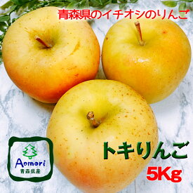 りんご 訳あり 約5Kg トキ りんご 送料無料 青森県産 トキりんご 約5Kg 傷あり