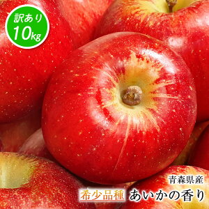  󂠂 10kg ̂ XY ̍ 10kg  󏭕i