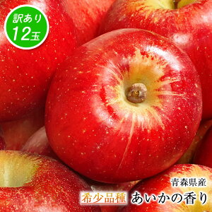  󂠂 12  ̂ XY ̍ 12  󏭕i