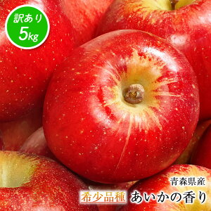  󂠂 5kg ̂ XY ̍ 5kg  󏭕i