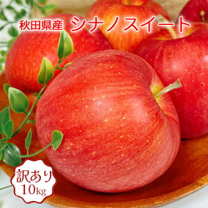  10kg 󂠂 VimXC[g HcY VimXC[g 10kg 46ʓ ʂ   10Kg 󂠂  VimXC[g