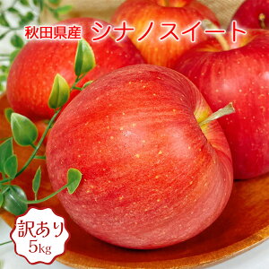  5kg 󂠂 VimXC[g HcY VimXC[g 5kg 23ʓ ʂ   10Kg 󂠂  VimXC[g