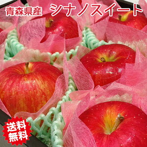  l XY VimXC[g Gi ϔ 8 Zbg l t[c  蕨 Mtg v[g