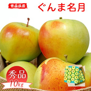 erŏЉꂽ  10Kg  XY ܖ Gi 10kg Ynp   X    10Kg i Mtg Ε Mtg