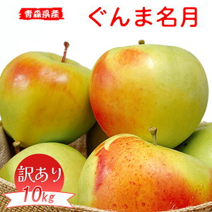 erŏЉꂽ  10Kg 󂠂 XY ܖ 10kg  󂠂 X 10kg  ܂߂