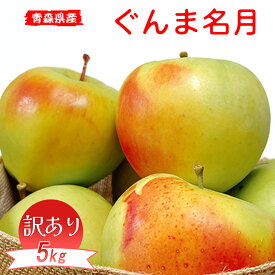 テレビで紹介された りんご 5Kg 訳あり 青森県産ぐんま名月 5kg りんご 訳あり 青森 5kg お試し ぐんまめいげつ
