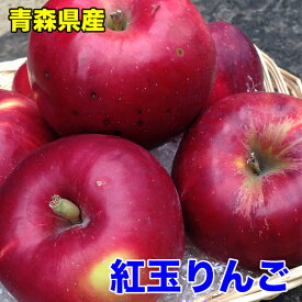 楽天市場 りんご 総重量 果物 9 00 9 99kg フルーツ 果物 食品 の通販
