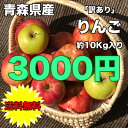 【訳あり★普通便送料無料★期間限定】青森県産有袋ふじ　約10kg　※北海道・沖縄県離島は除く 【RCP】 ランキングお取り寄せ