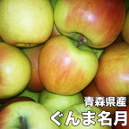 りんご 10Kg 訳あり 青森県産 ぐんま名月 10kg りんご 訳あり 青森 10kg お試し ぐんまめいげつ 11月下旬より発送開始