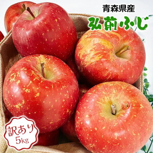 りんご 5Kg箱 訳あり 青森県産 弘前 ふじ 4kg以上 家庭用 お試し 送料無料 りんご 弘前 ふじ 5Kg箱 訳あり りんご