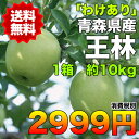 【訳あり★送料無料】青森県産王林りんご　約10kg　糖度保証　サイズいろいろ　クール便使用　※北海道・沖縄県・離島は除く 【RCP】 ランキングお取り寄せ