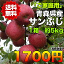 【ご家庭用】青森県産サンふじりんご　約5kg　糖度保証　サイズいろいろ　　※北海道・沖縄離島は除く【RCP】 ランキングお取り寄せ