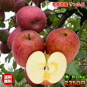 【ご家庭用★送料無料】青森県産サンふじりんご 約10kg 糖度保証 サイズいろいろ ※北海道・沖縄離島は除く【RCP】