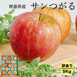  󂠂 5kg XY T 4.5kgȏ N[֔z  ƒp  󂠂 5Kg X