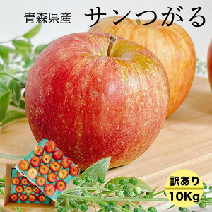  󂠂 10kg XY T 9kgȏ N[֔z  ƒp  󂠂 10Kg X