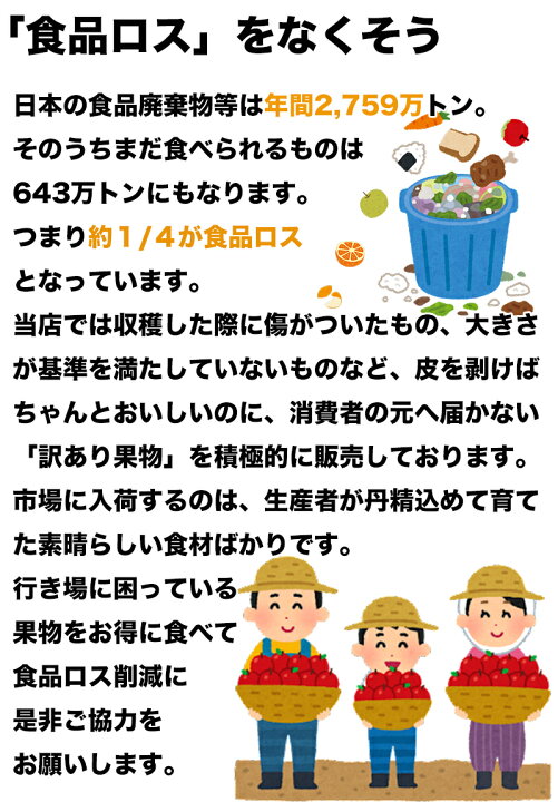 楽天市場】りんご 10Kg箱 訳あり 青森県産 トキ りんご 9kg以上 ご家庭用 糖度保証 サイズいろいろ 10kg箱 りんご 訳あり わけあり トキ 生食用 希少品種【予約 9月下旬頃から】 : 大和屋 旬果庵 楽天市場】りんご 10Kg箱 訳あり 青森県産 トキ りんご 9kg以上 ご家庭用 糖度保証 サイズいろいろ 10kg箱 りんご 訳あり わけあり トキ 生食用 希少品種【予約 9月下旬頃から】 : 大和屋 旬果庵