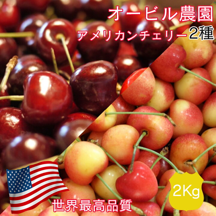 楽天市場】アメリカンチェリー オービル農園 GEE WHIZ 大粒 レイニア 