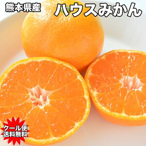 ݂  F{Y nEX ݂ V G LTCY 5kg  ݂ nEX ݂ 