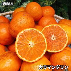 みかん 訳あり 送料無料 2.5kg 愛媛県 カラマンダリン Lサイズ 2.5kg 春 みかん ギフト 母の日 お試し