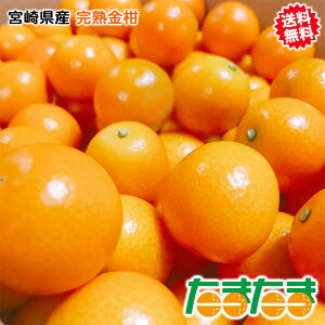  񂩂 1kg  {茧Y ܂ n  L-3LTCY 1Kg  Hp ܂Ŕ Mtg 