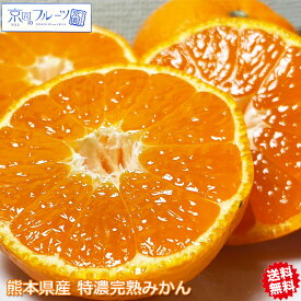 みかん 5kg箱 送料無料 熊本県産 特濃完熟 京園みかん 秀品 Mサイズ 5kg みかん 5Kg お試し みさとえん