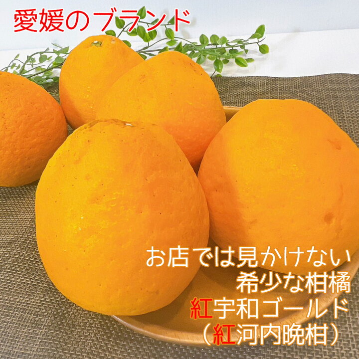 楽天市場】紅宇和ゴールド 紅河内晩柑 みかん 美生柑 ご家庭用 愛媛県 