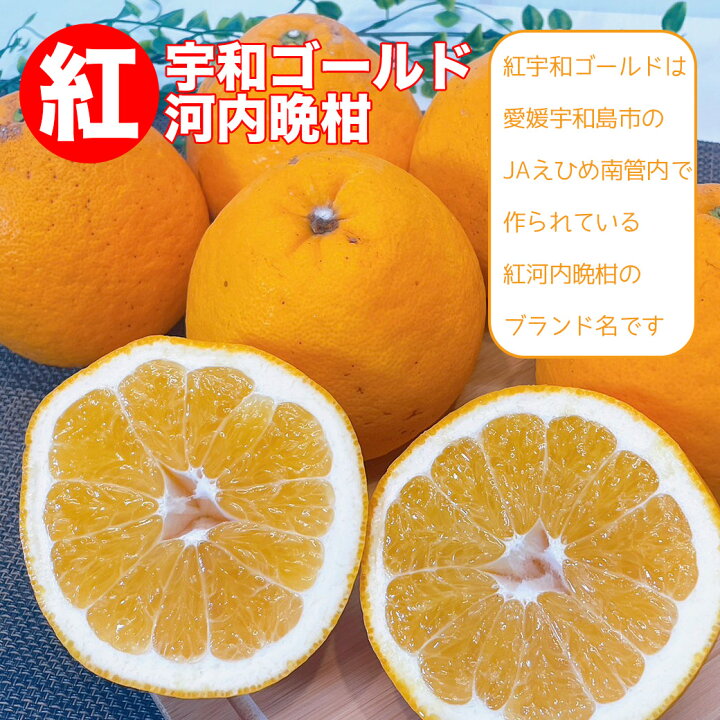 楽天市場】紅宇和ゴールド 紅河内晩柑 みかん 美生柑 ご家庭用 愛媛県 