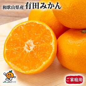 みかん 家庭用 5kg箱 和歌山県産 有田みかん 傷あり JAの正規品 AQ選果場 黄色箱
