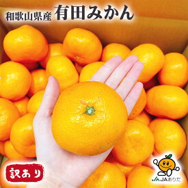 みかん 訳あり 10kg箱 送料無料 和歌山県産 有田みかん 傷多め JAの正規品 茶箱 AQ選果場