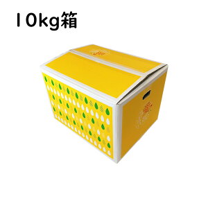 ݂ 󂠂   Yn QY B݂ S-LTCY 