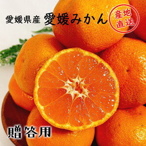 ݂ Gi   Yn QY B݂ M-LTCY TCYws