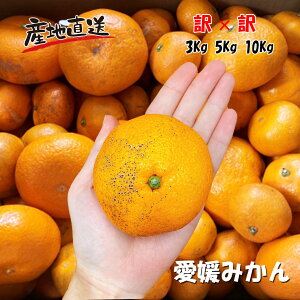 ݂ 󂠂  Yn QY B݂ 2S-2LTCY @×݂