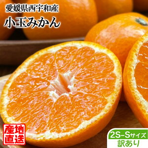 ݂ 󂠂   Yn QY Fa݂ S-2STCY  Q݂ B݂