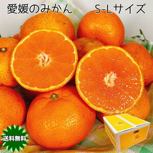 ݂ 󂠂   Yn QY B݂ S-LTCY 