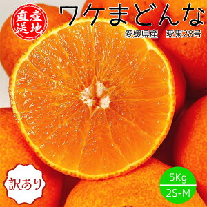 ܂ǂ 󂠂 Yn QY P܂ǂ TCY 