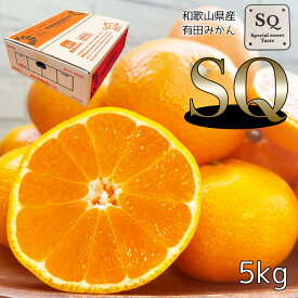 みかん 有田 SQクラス 糖度12度以上 和歌山県産 有田SQみかん 5kg 光糖度センサー識別合格済