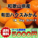 【送料無料】和歌山県産有田ハウスみかん　秀　2Lサイズ　約5kg　※北海道・沖縄県へは別途送料必要【RCP】 ランキングお取り寄せ