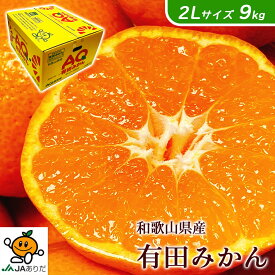 みかん 送料無料 有田 AQ 9Kg 和歌山県産 有田 みかん 秀品 2Lサイズ 9kg 送料無料 贈答用 ギフト みかん 9Kg 和歌山 有田みかん お歳暮 ギフト