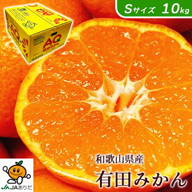 みかん 送料無料 小玉 有田 AQ 10Kg 和歌山県産 有田 みかん 秀品 Sサイズ 10kg 送料無料 贈答用 ギフト みかん 10Kg 和歌山 有田みかん お歳暮 ギフト