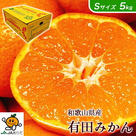 みかん 送料無料 小玉 有田 AQ 5Kg 和歌山県産 有田 みかん 秀品 Sサイズ 5kg 送料無料 贈答用 ギフト みかん 5Kg 和歌山 有田みかん お歳暮 ギフト