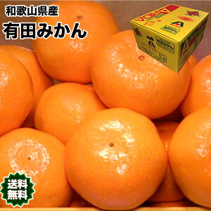 有田みかん 10kgの通販 価格比較 価格 Com 有田みかん 10kgの通販 価格比較 価格 Com