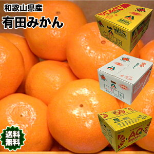 みかん 送料無料 有田 10Kg 和歌山県産 有田 みかん 秀品 Lサイズ 10kg 送料無料 贈答用 ギフト みかん 10Kg 和歌山 有田みかん お歳暮 ギフト