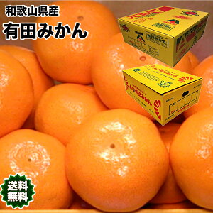 みかん 送料無料 小玉 有田 5Kg 和歌山県産 有田 みかん 秀品 2Sサイズ 5kg 送料無料 贈答用 ギフト みかん 5Kg 和歌山 有田みかん お歳暮 ギフト