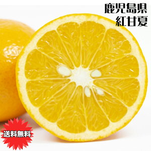 �g�É� �݂��� 5Kg �������p �������� ���������Y �g�É� �G�i 2L�T�C�Y 5kg �M�t�g �����p